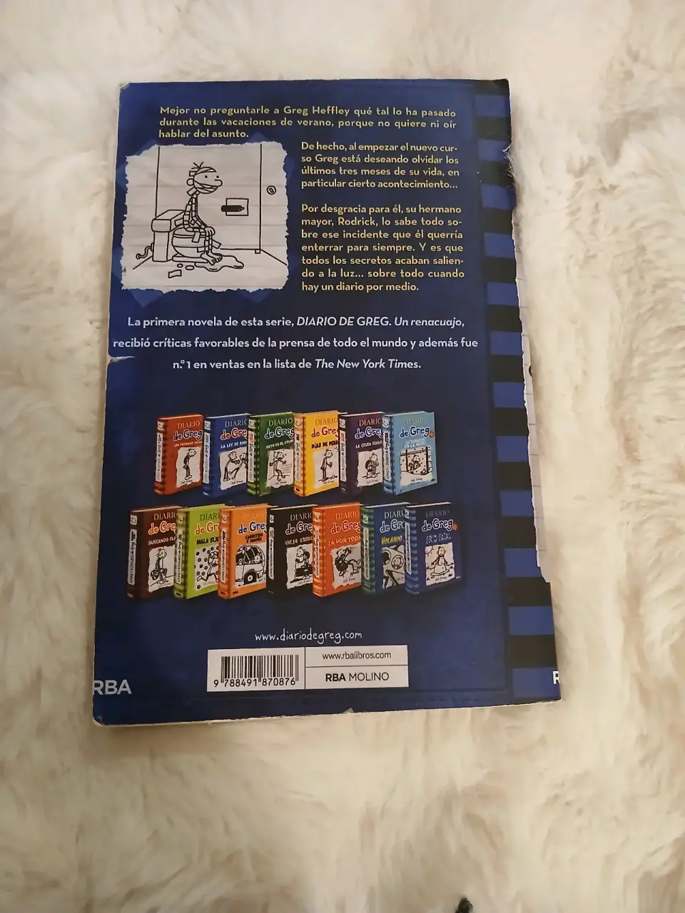 Diario de Greg 2: La ley de Rodrick - miniatura 2