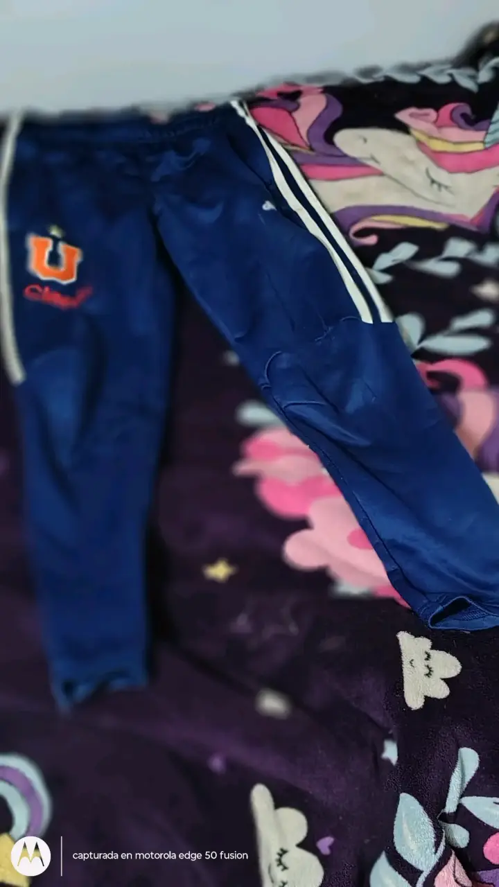 Pantalón deportivo azul U de Chile