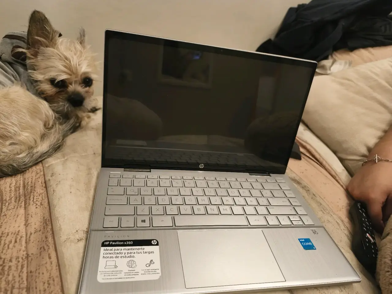 Laptop HP Pavilion x360 - miniatura 1