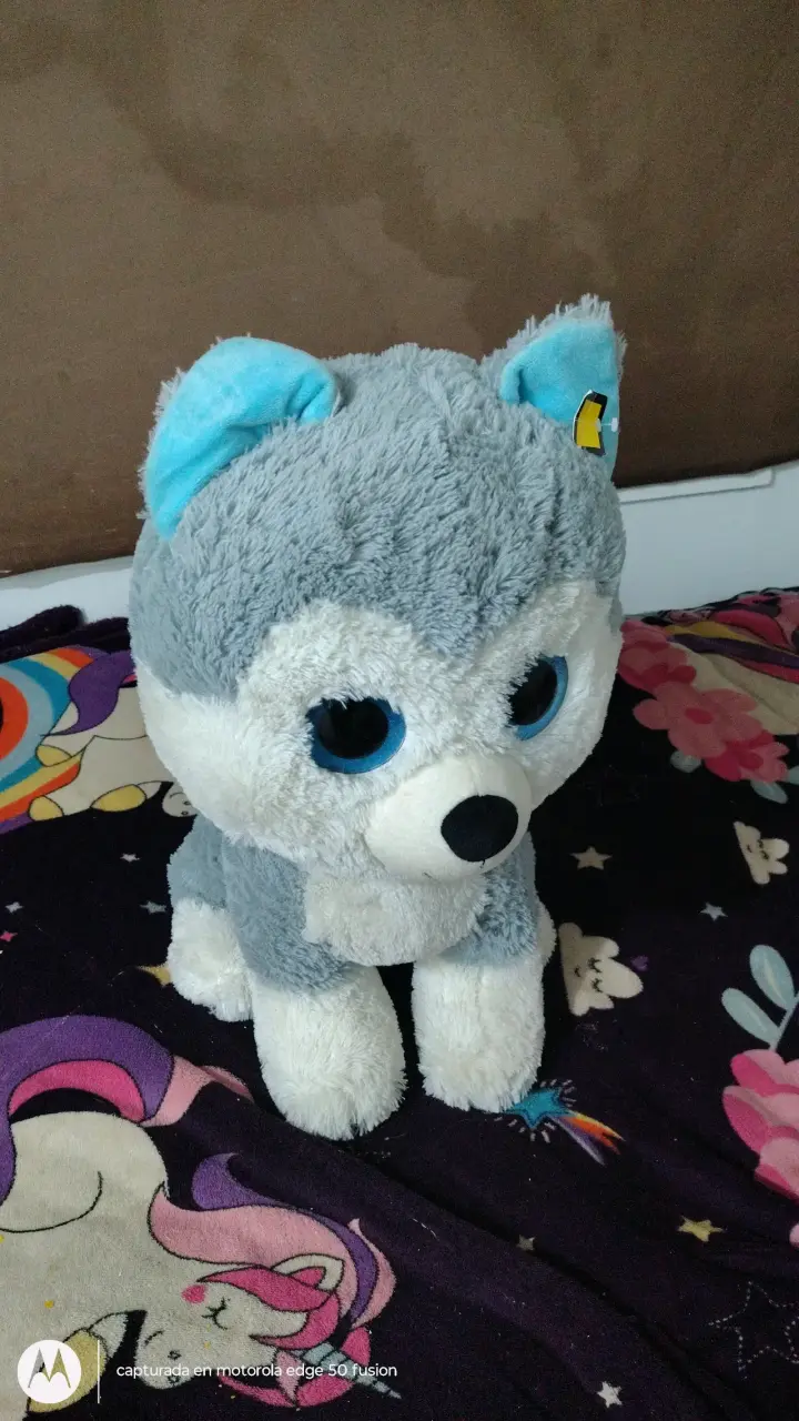Peluche perro husky gris