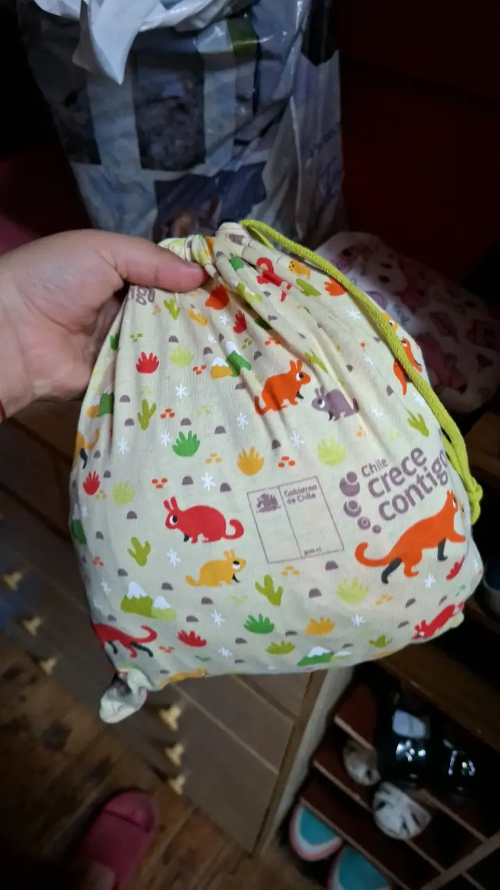 Bolsa Crece Contigo Chile - miniatura 1