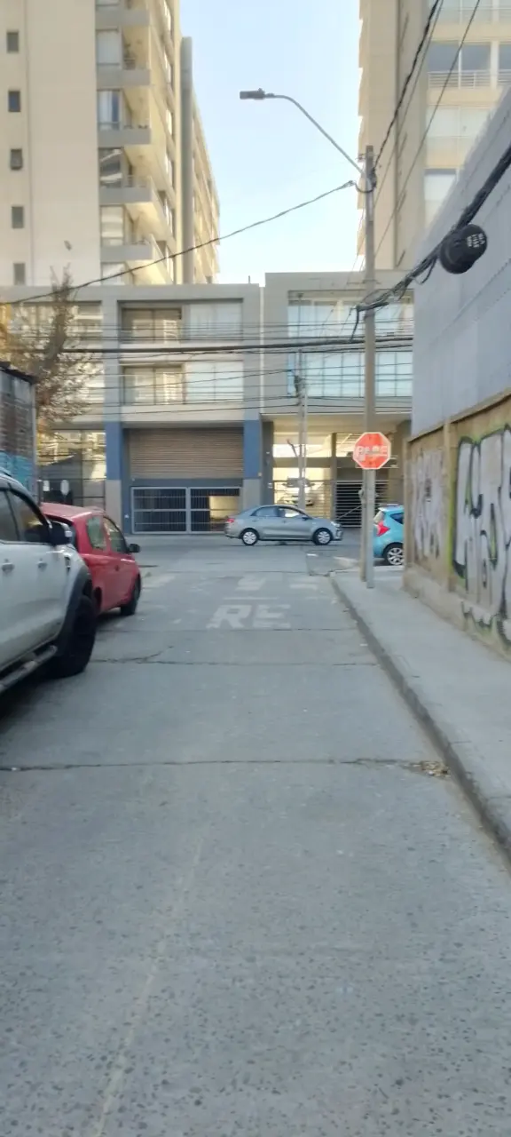 Conjunto deportivo colegio azul y gris - miniatura 5