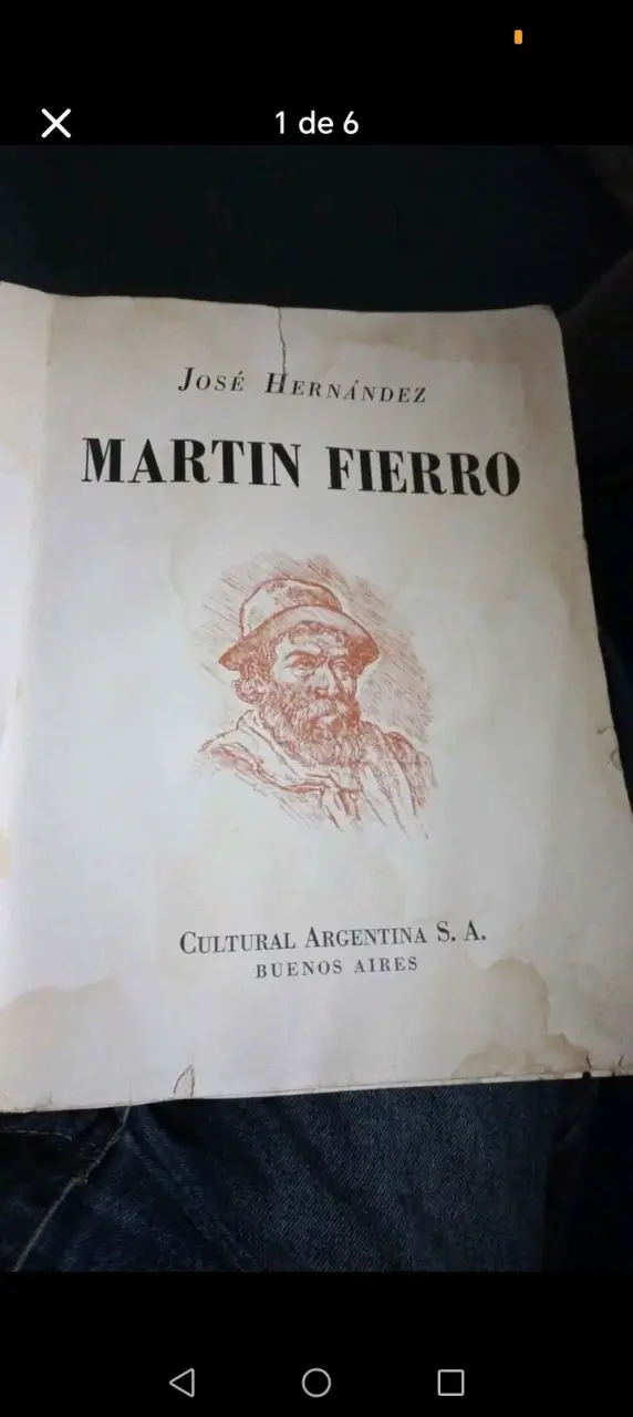 Martín Fierro de José Hernández - miniatura 1