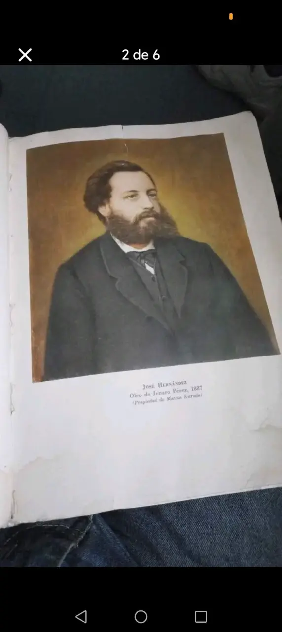 Martín Fierro de José Hernández - miniatura 2