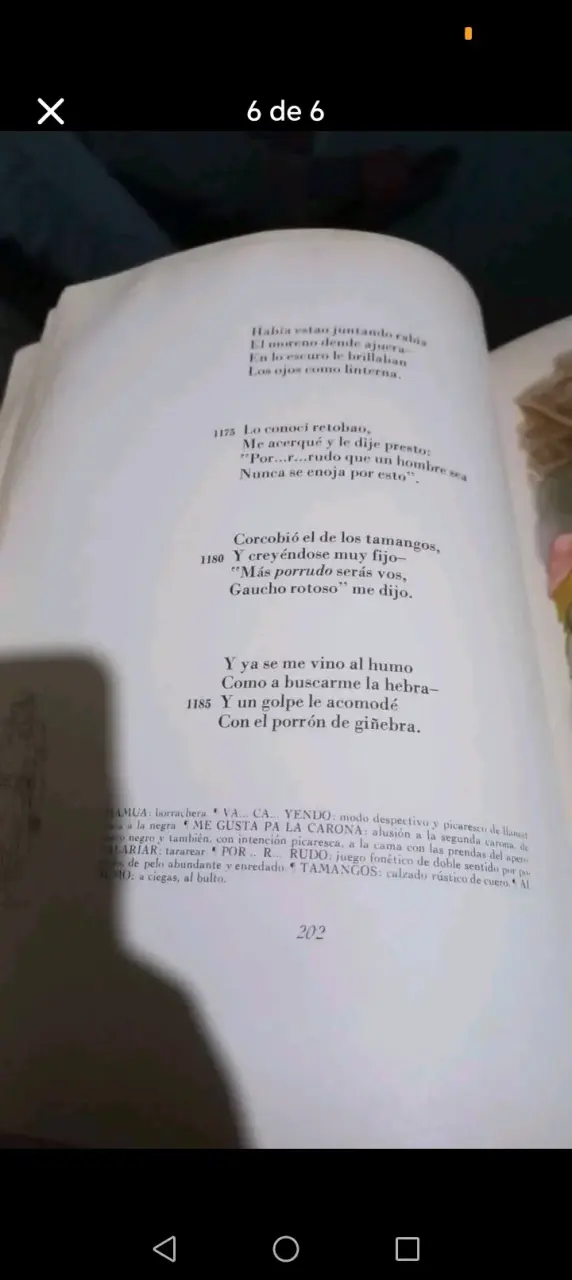 Martín Fierro de José Hernández - miniatura 6