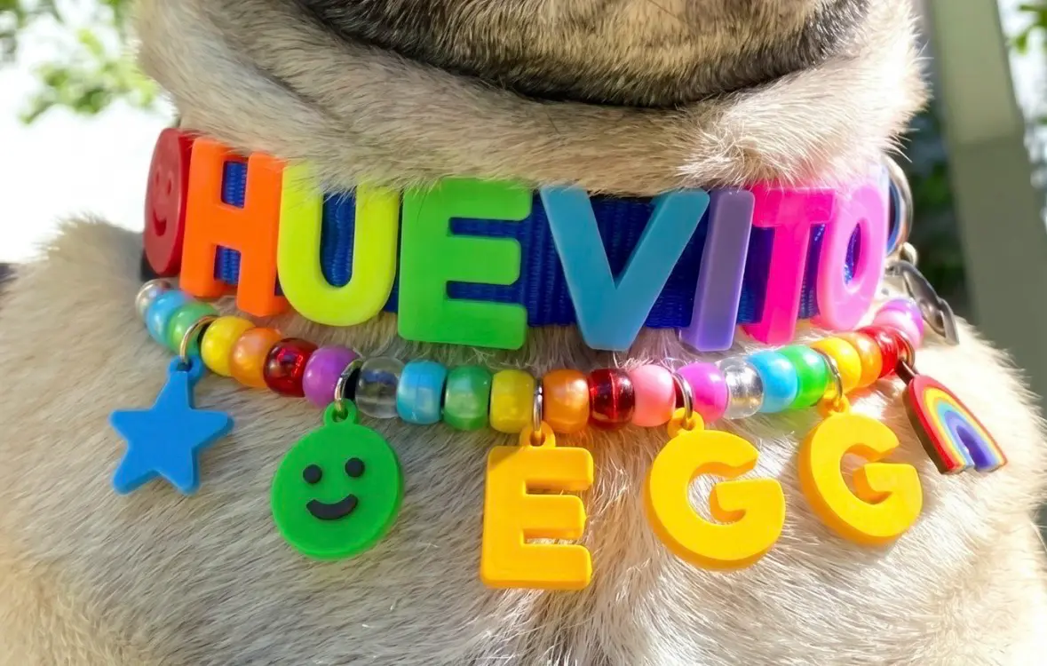 Collar de perro personalizado talla S - miniatura 1