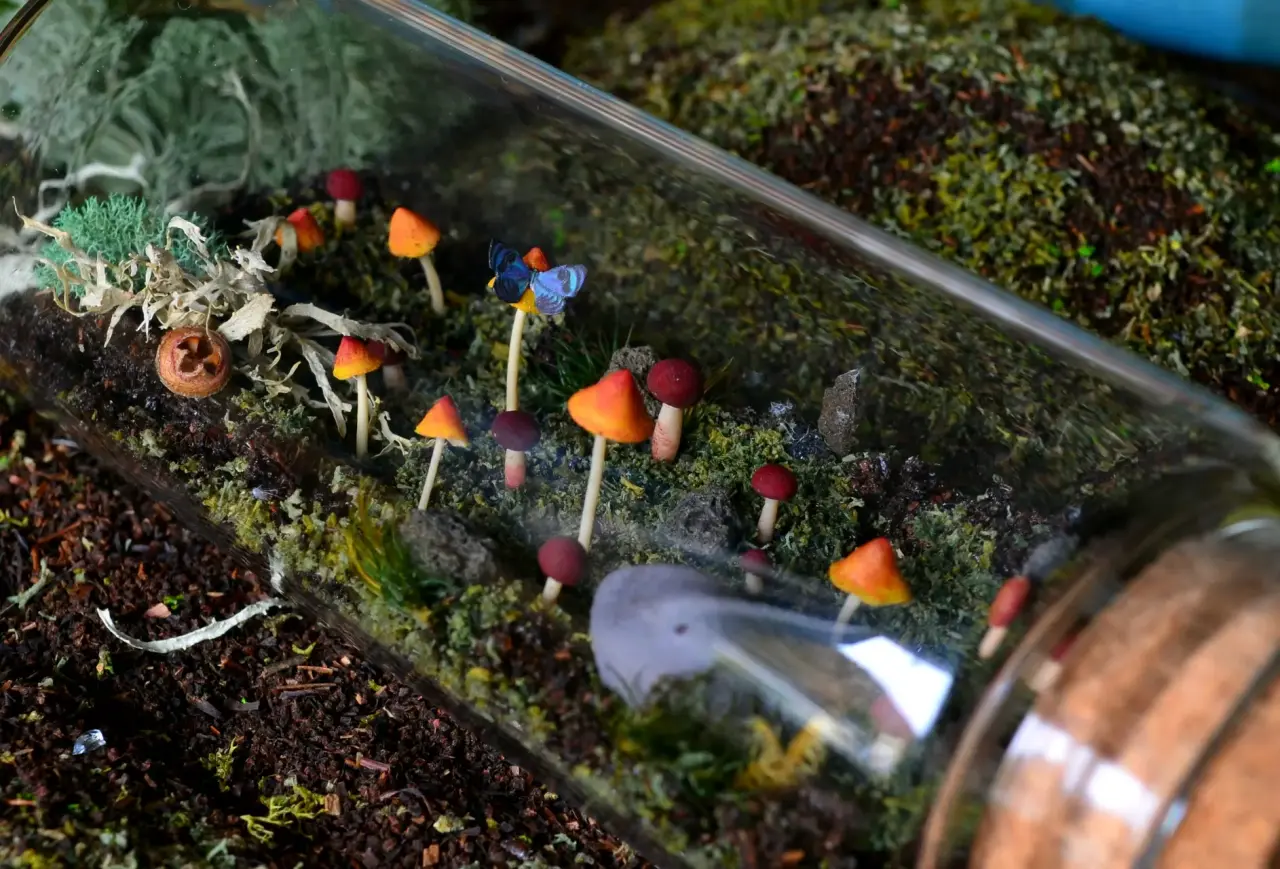 Terrario decorativo en botella - miniatura 1