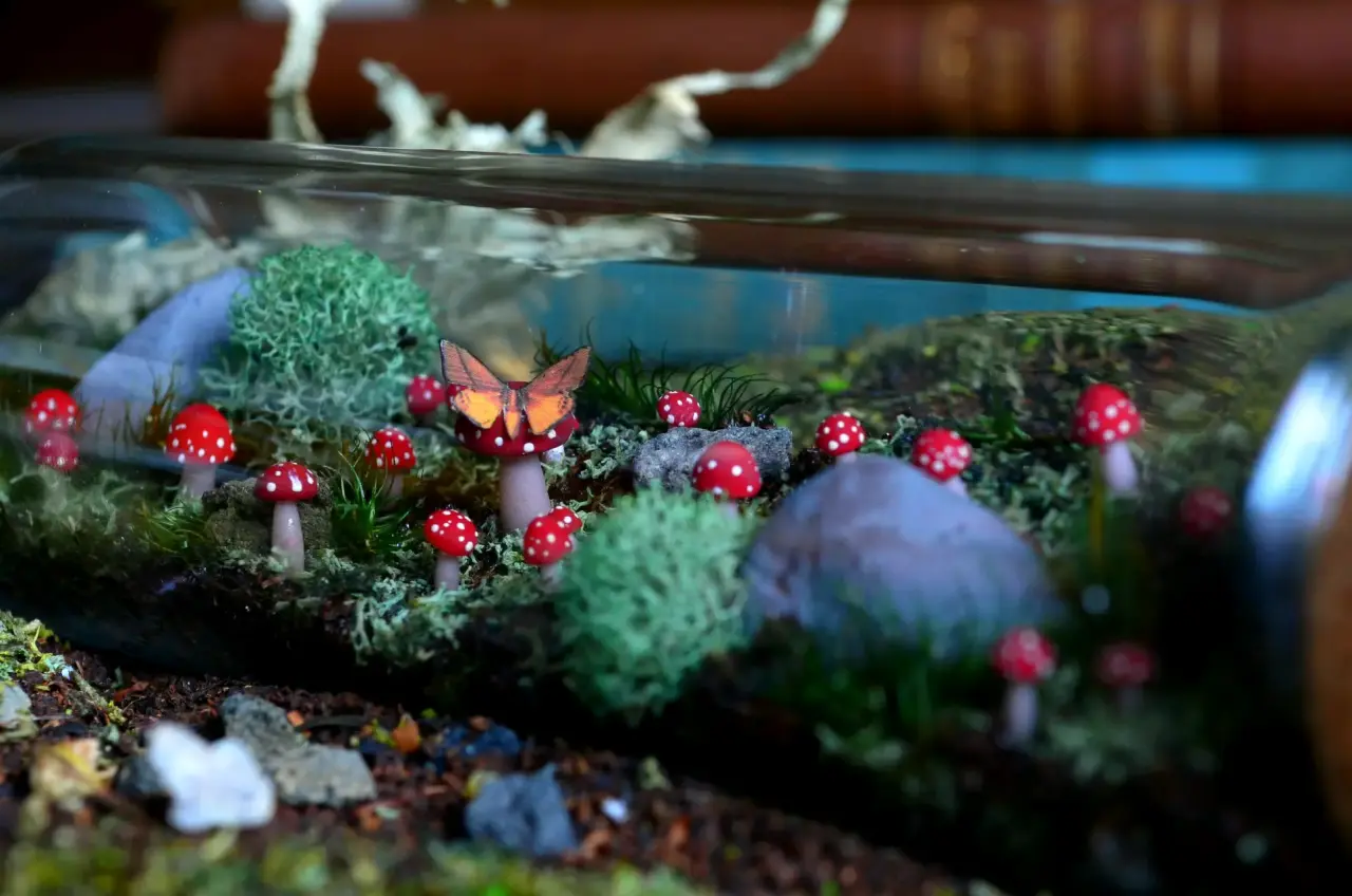 Terrario decorativo en frasco - miniatura 1
