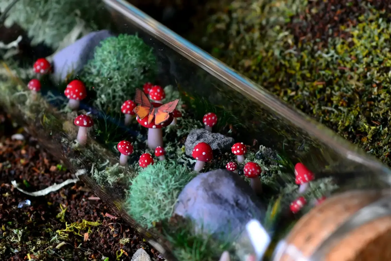 Terrario decorativo en frasco - miniatura 2
