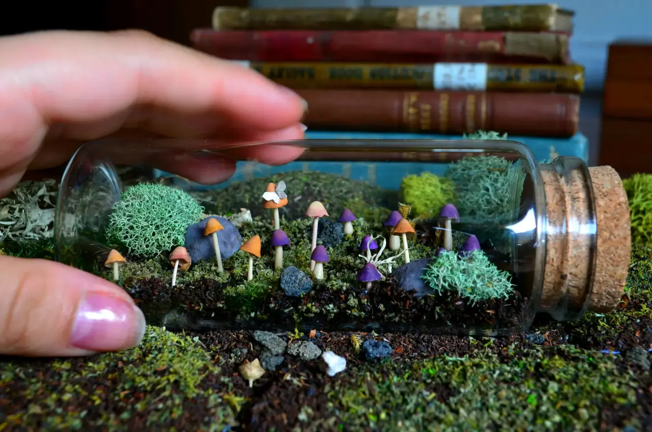 Terrario en botella con mini hongos - miniatura 1