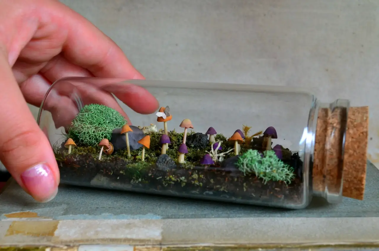 Terrario en botella con mini hongos - miniatura 2