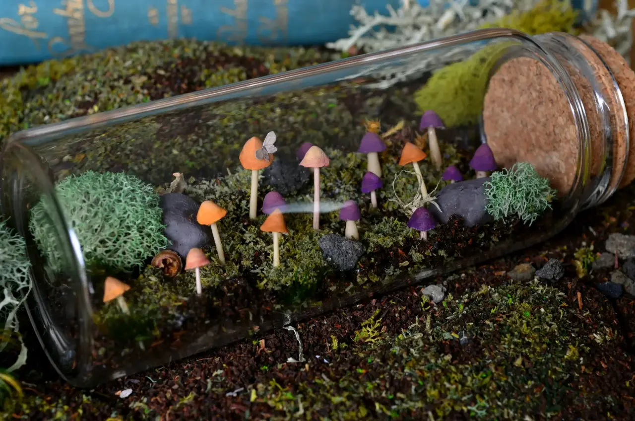 Terrario en botella con mini hongos - miniatura 3
