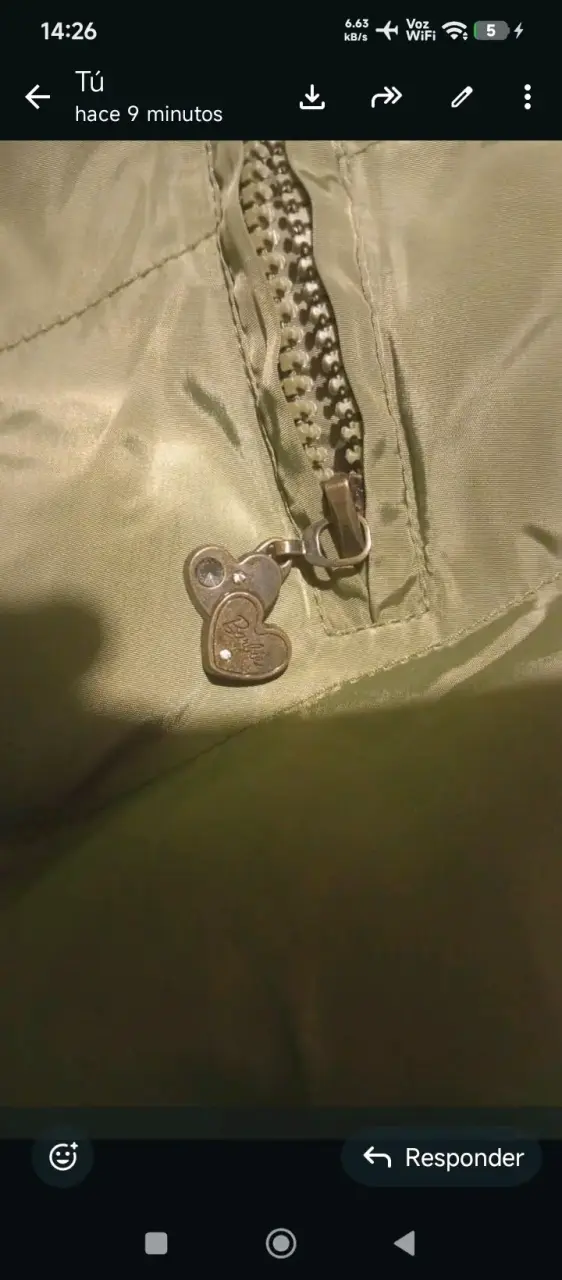 Abrigo verde con capucha - miniatura 2