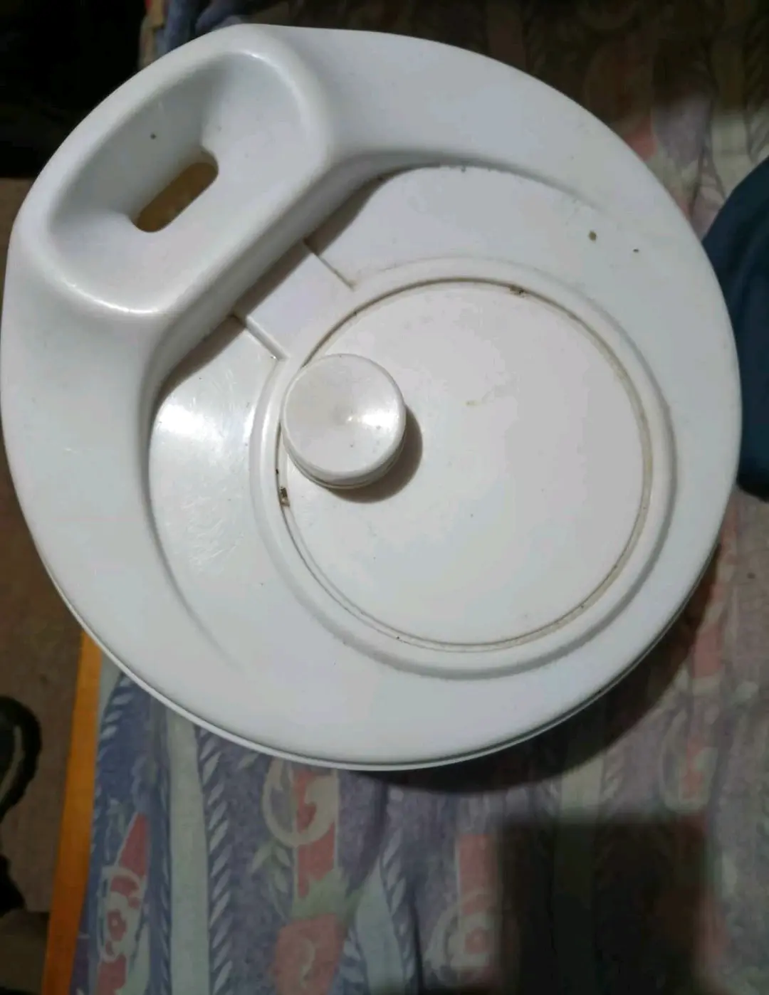 Centrífuga de lechuga - miniatura 2