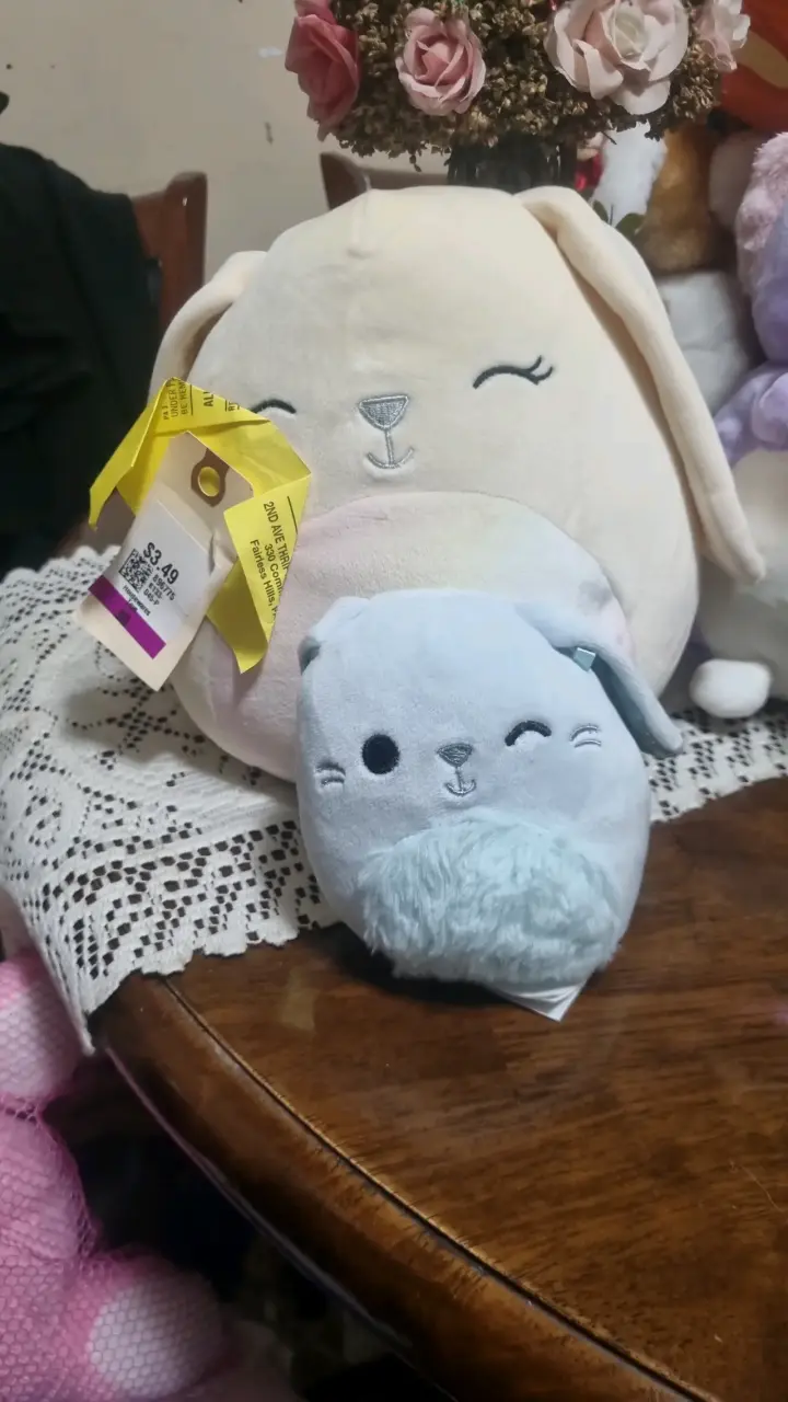 Squishmallow  Peluches de animales con etiquetas
