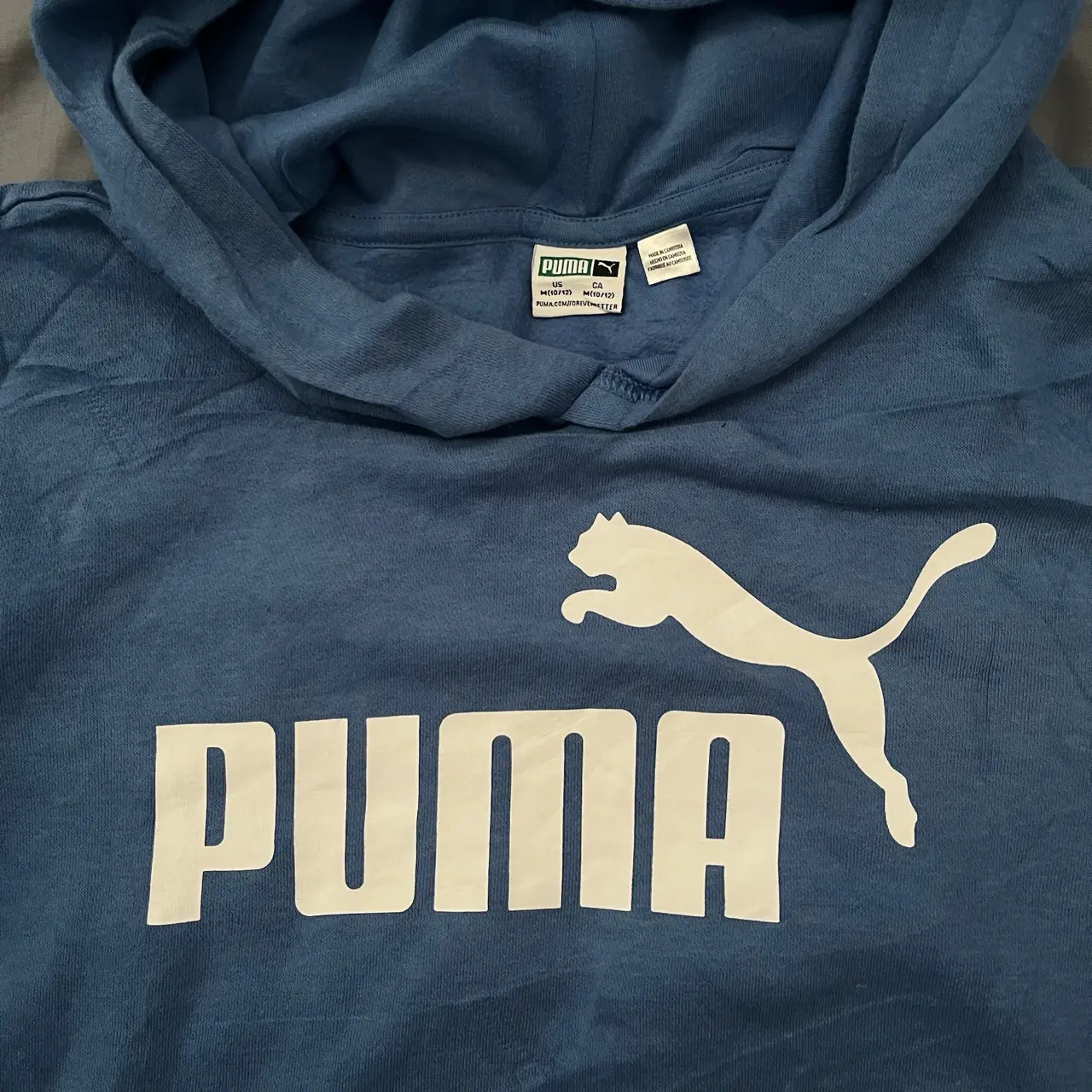 Polerón azul Puma con capucha - miniatura 1