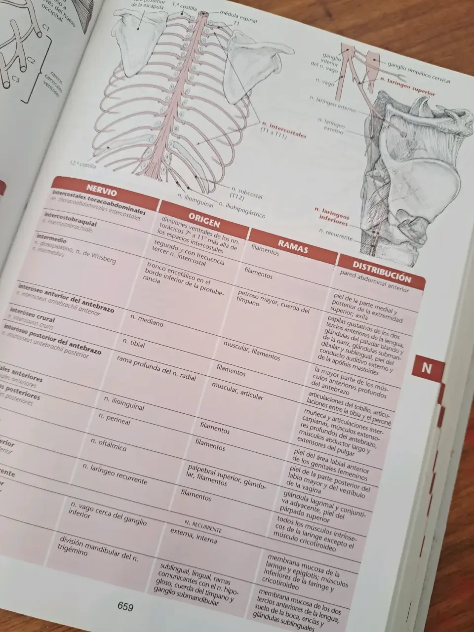 Diccionario Médico Ilustrado Harper Collins - miniatura 2