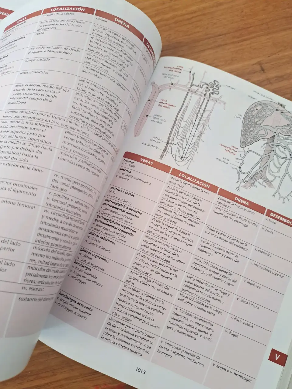 Diccionario Médico Ilustrado Harper Collins - miniatura 5