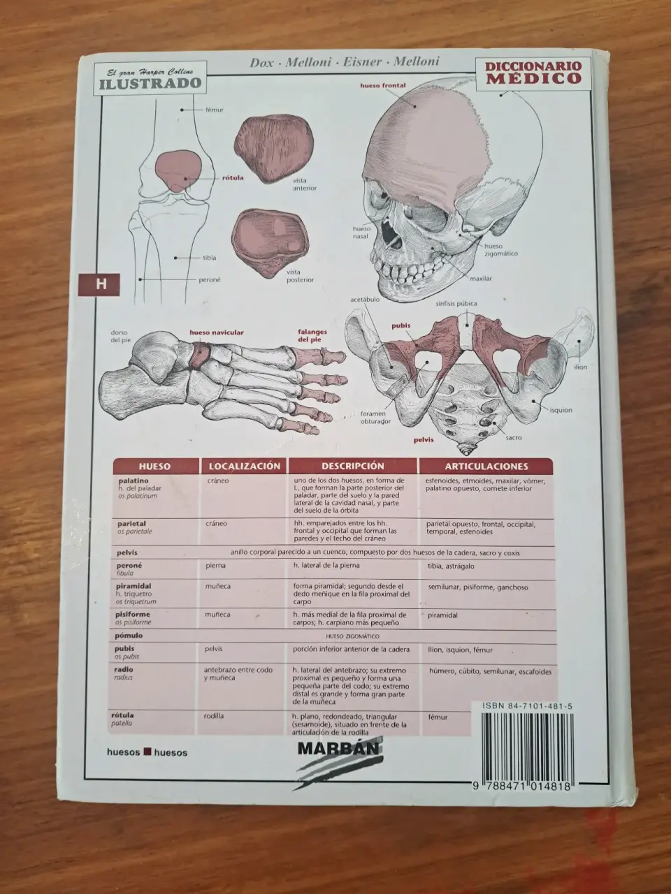 Diccionario Médico Ilustrado Harper Collins - miniatura 6