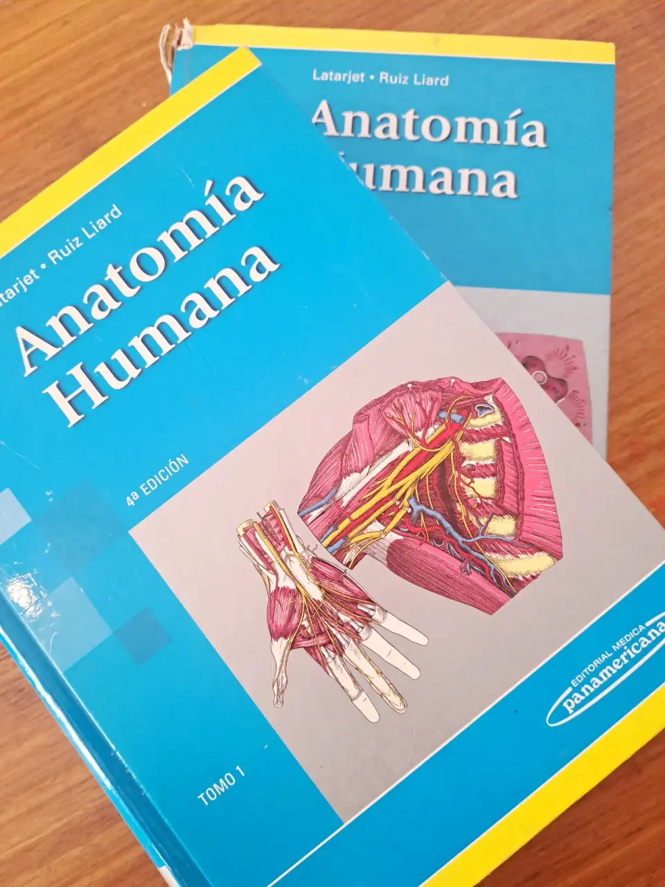 Latarjet Ruiz Anatomía Humana Tomos 1 y 2 - miniatura 1