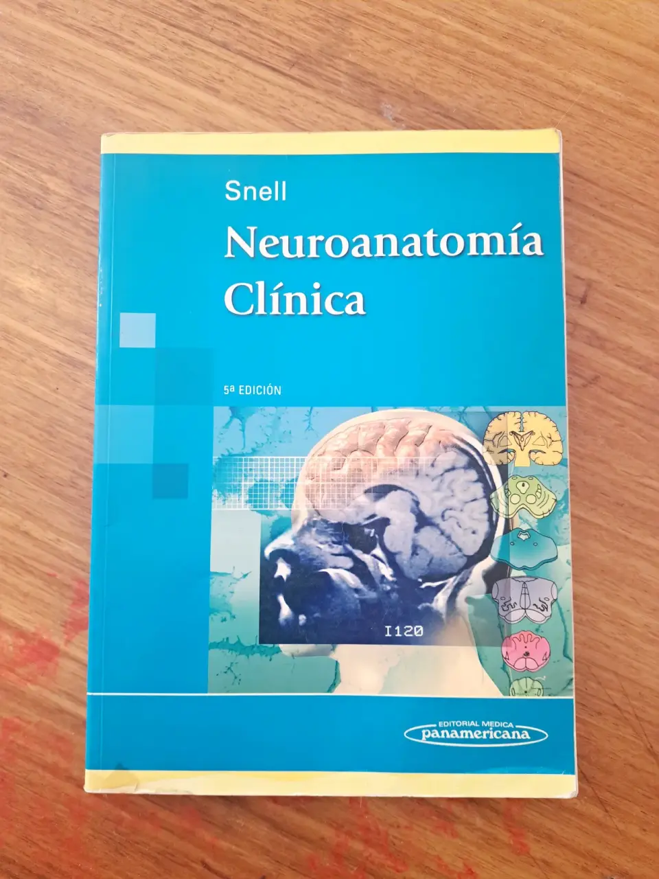 Libro Snell  Neuroanatomía Clínica 5ª Edición - miniatura 1