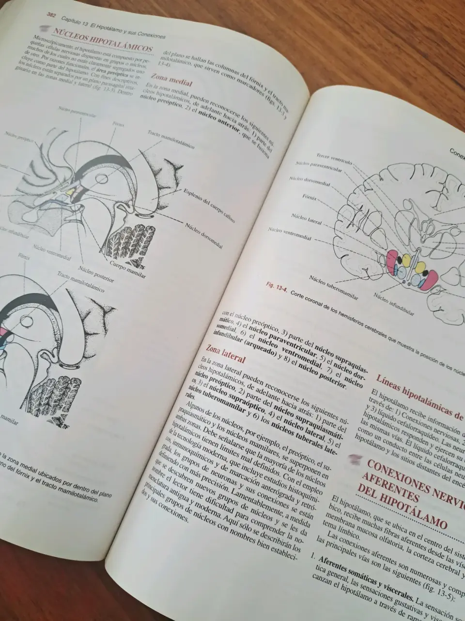 Libro Snell  Neuroanatomía Clínica 5ª Edición - miniatura 3