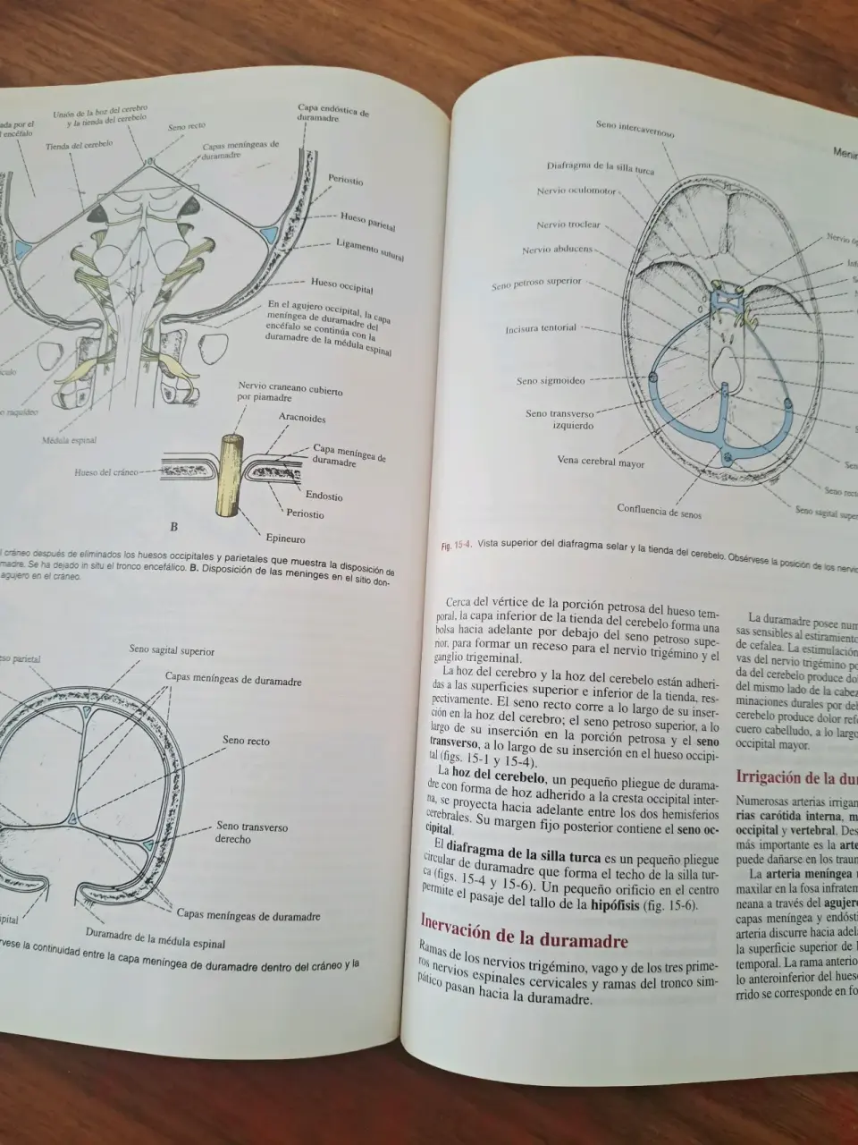 Libro Snell  Neuroanatomía Clínica 5ª Edición - miniatura 4