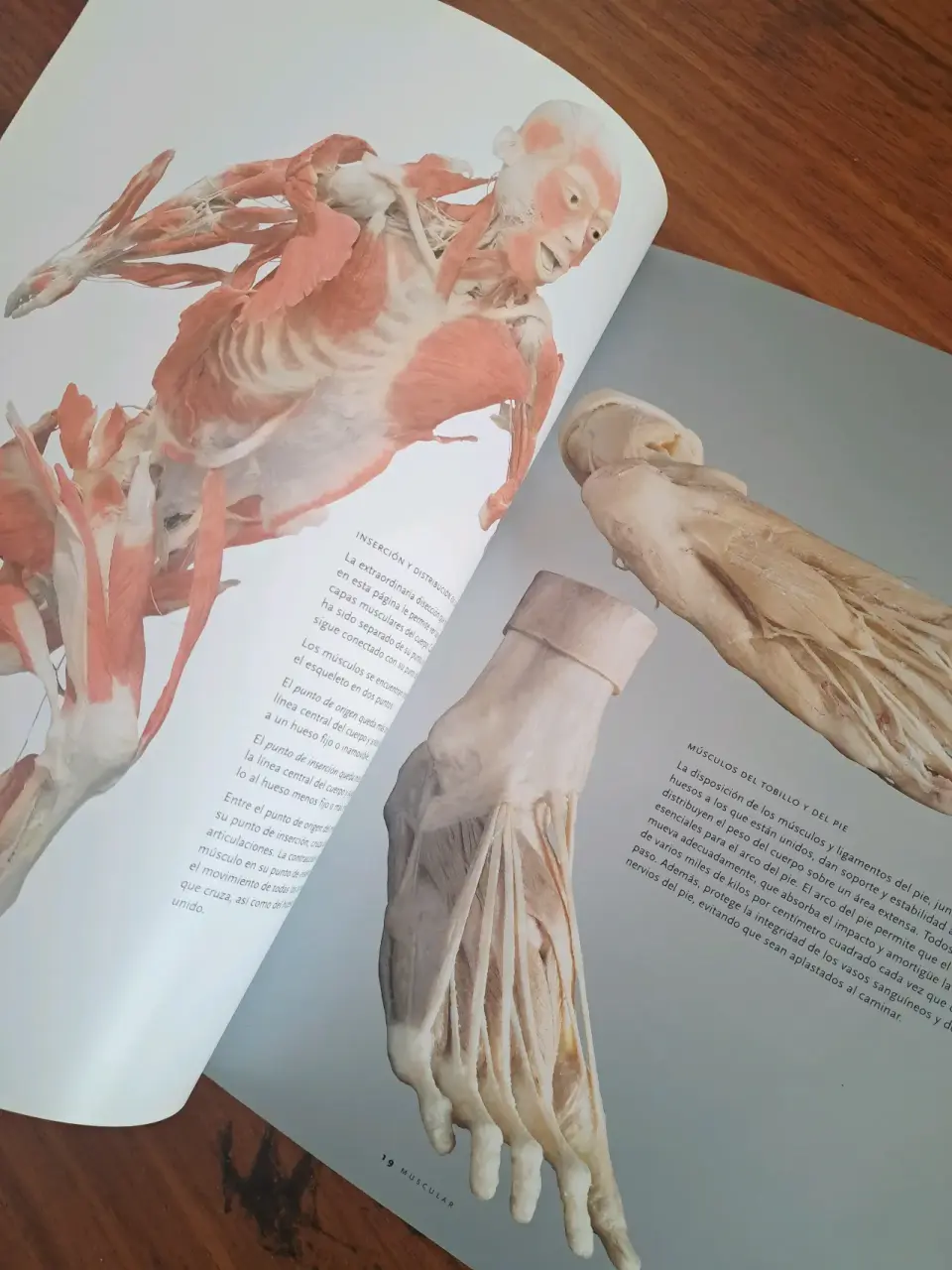 Libro 'Bodies: The Exhibition' - miniatura 4