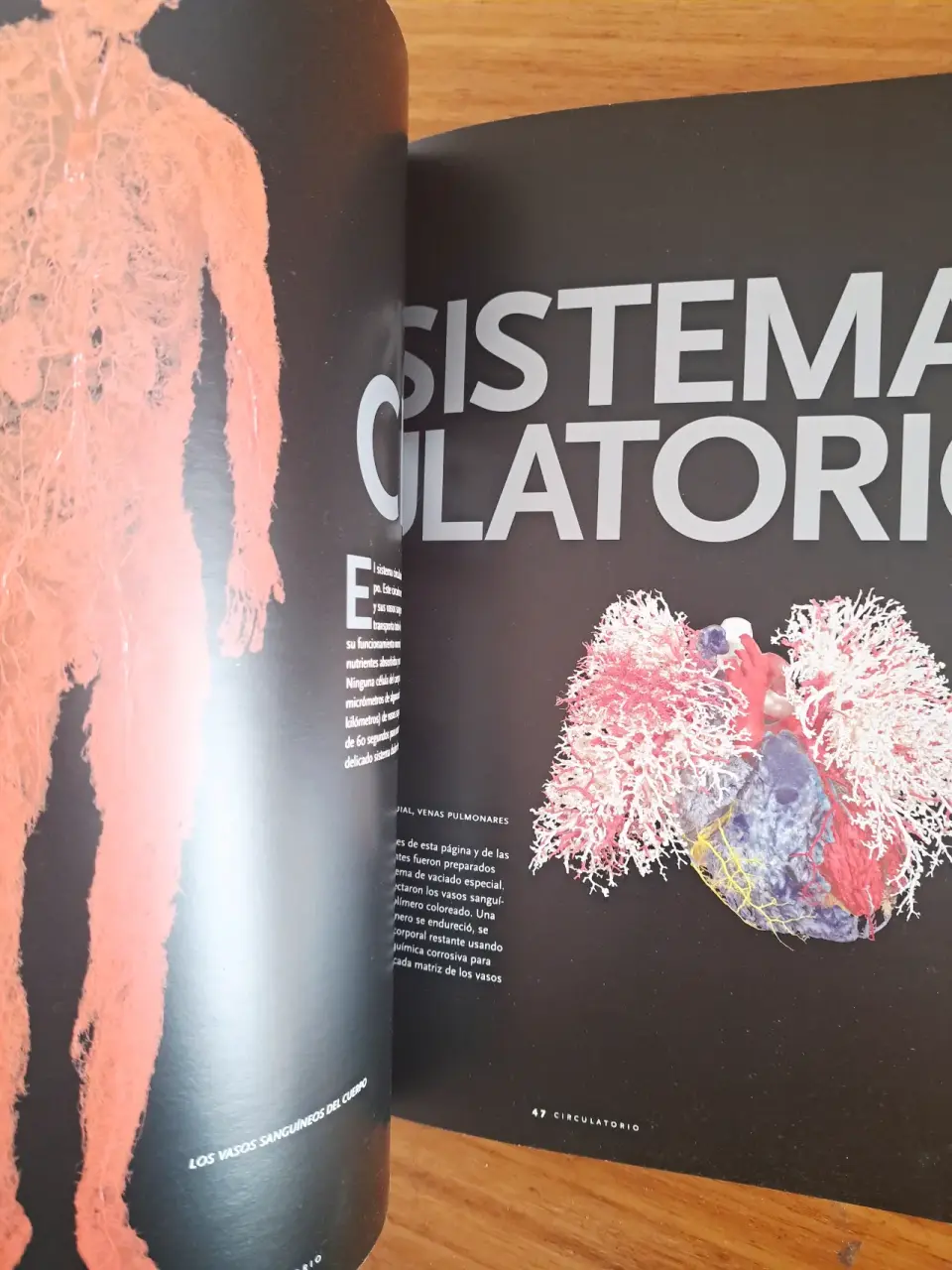 Libro 'Bodies: The Exhibition' - miniatura 5
