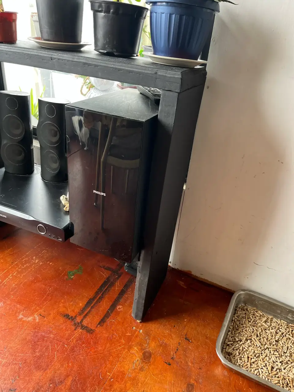 Subwoofer Philips negro estándar - miniatura 2