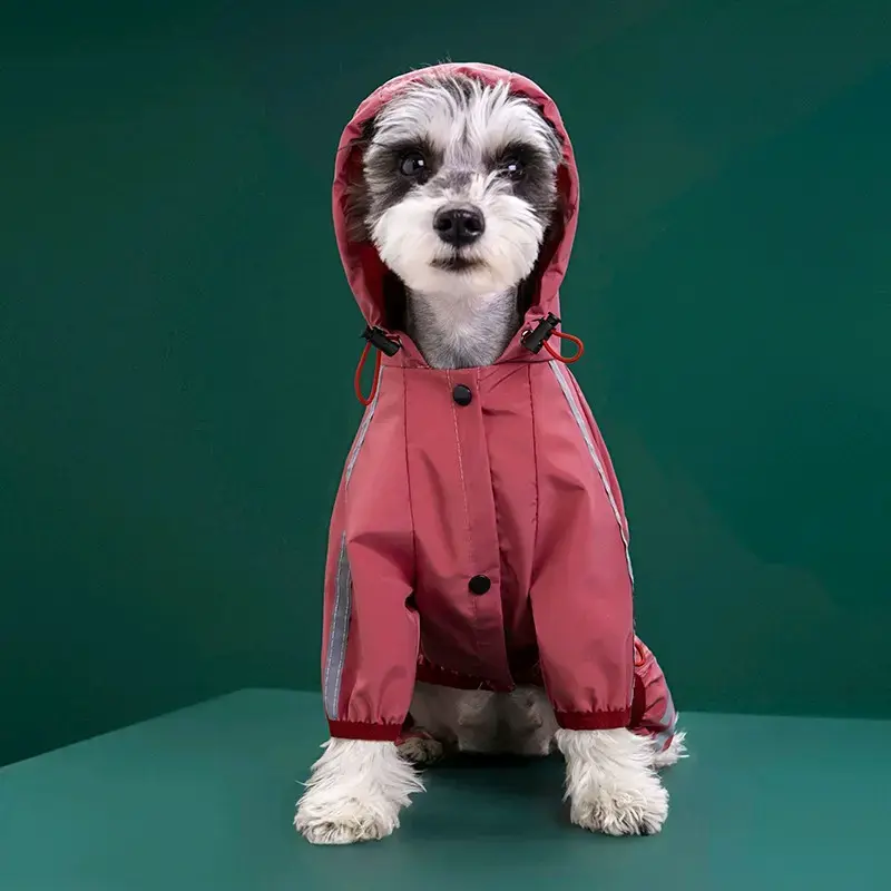 Impermeable  para perrito de raza pequeña - 4