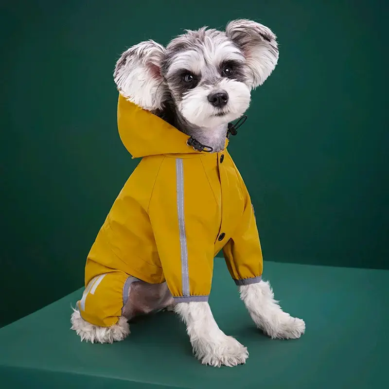 Impermeable  para perrito de raza pequeña - 6