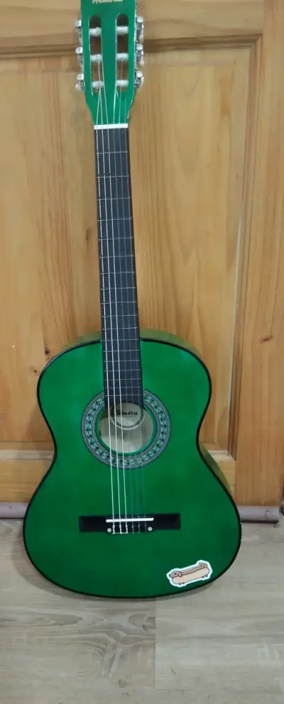Guitarra acústica verde - miniatura 1