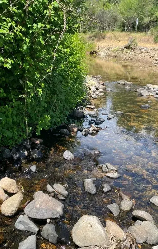 Se vende propiedad a 40 minutos de Santa Cruz - 3