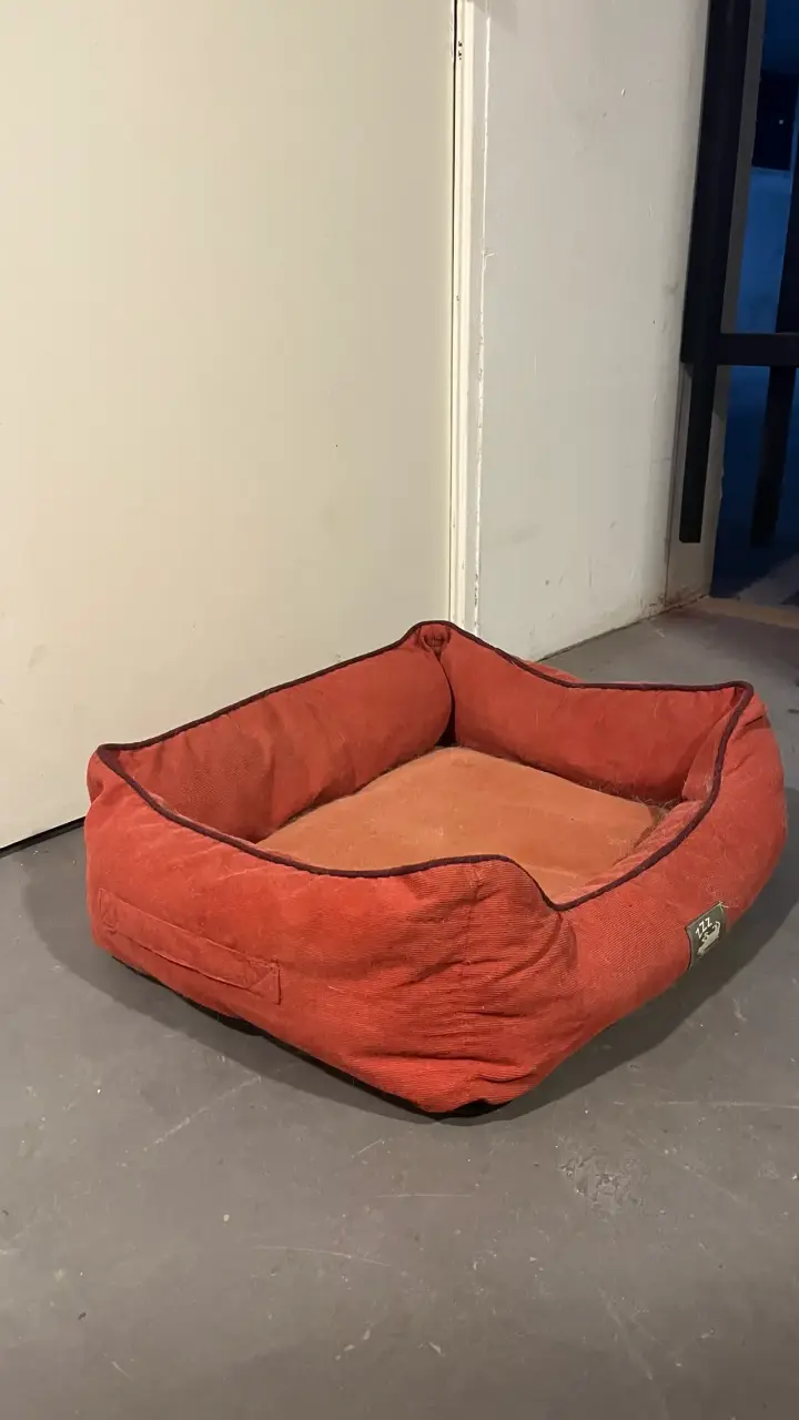 Cama para perro color rojo casa ideas - 2