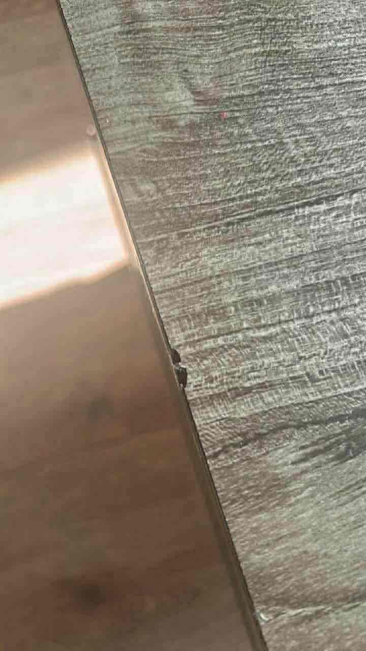 Mesa de centro de madera - 5