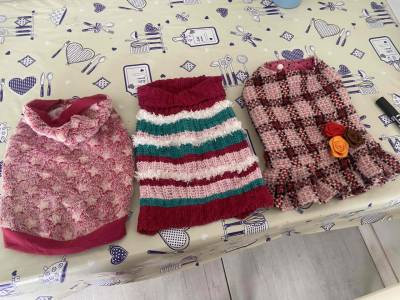 Vestidos para mascota - miniatura 1