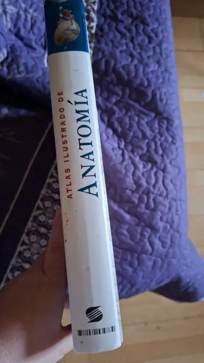 Libro de anatomía ilustrado - miniatura 4