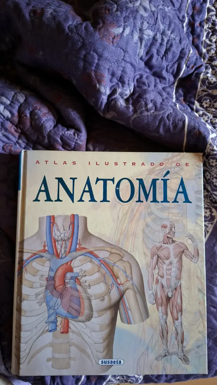 Libro de anatomía ilustrado - 5