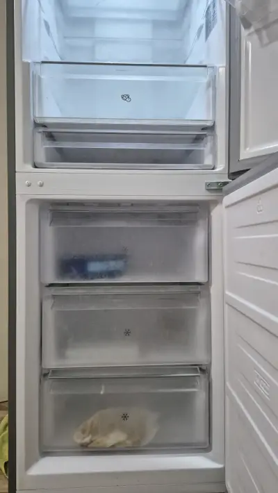 Refrigerador Fensa 323L No Frost - miniatura 3