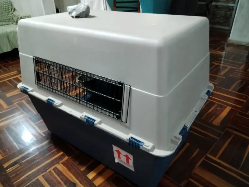Transportadora de mascotas grande - 3