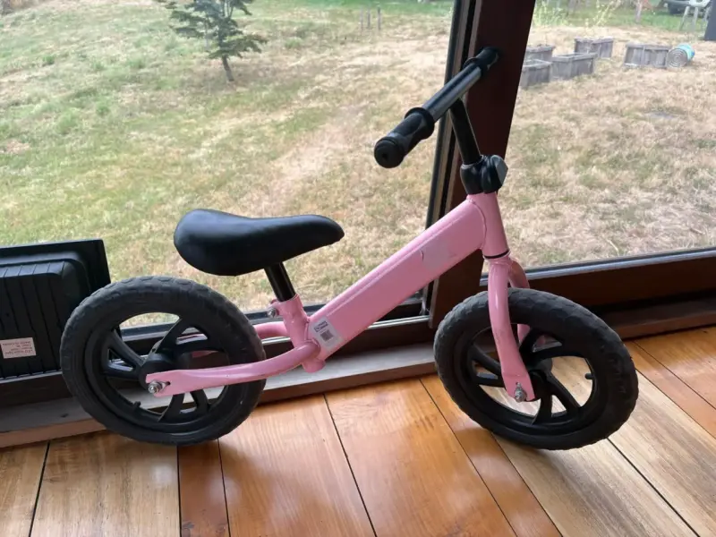 Bicicleta de equilibrio rosada - 4