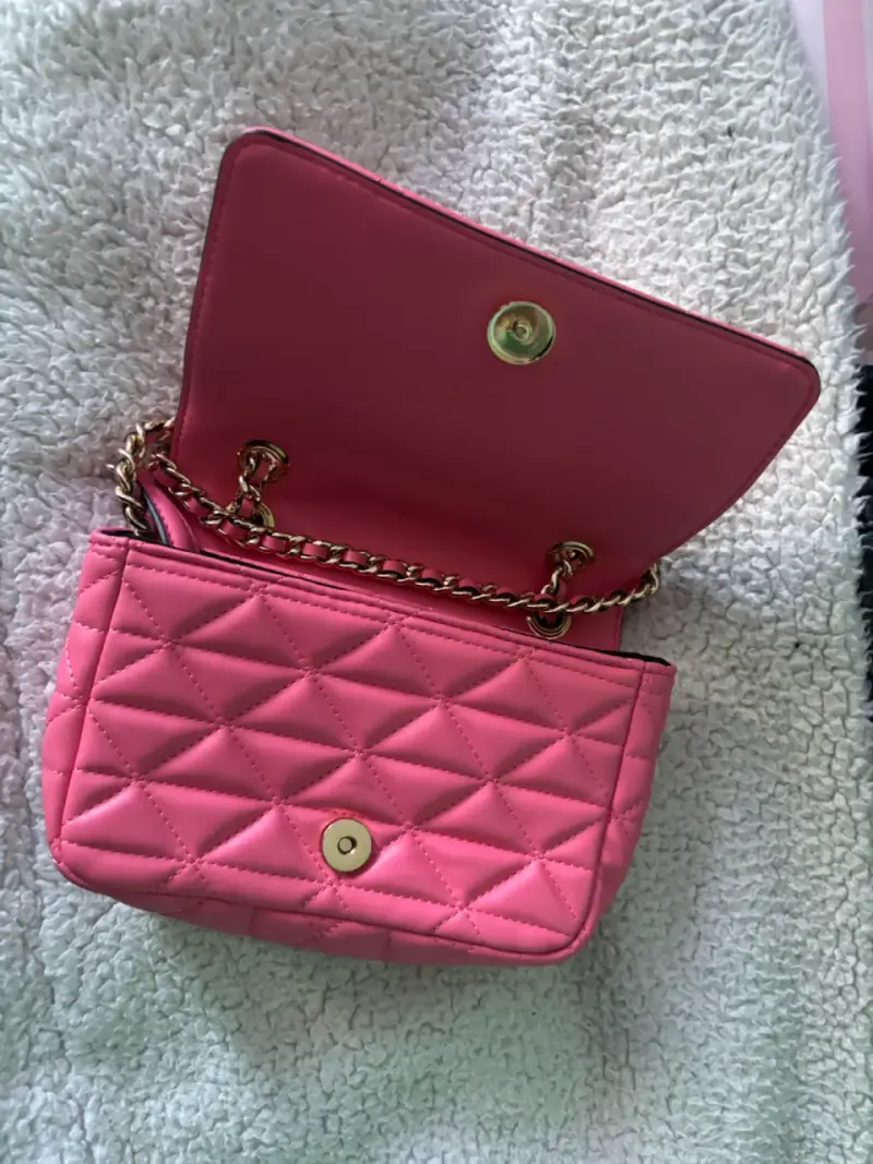 Cartera Aldo - 2