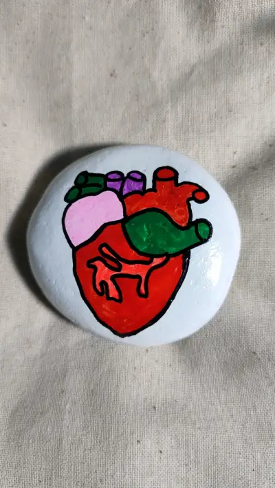 Juego didáctico de órganos humanos - miniatura 6
