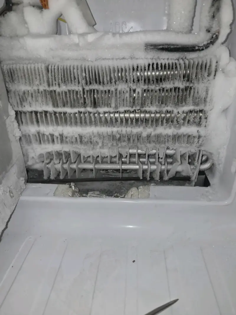 Servicio de mantenimiento refrigeración