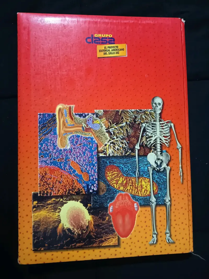 Atlas de anatomía del cuerpo humano - 2