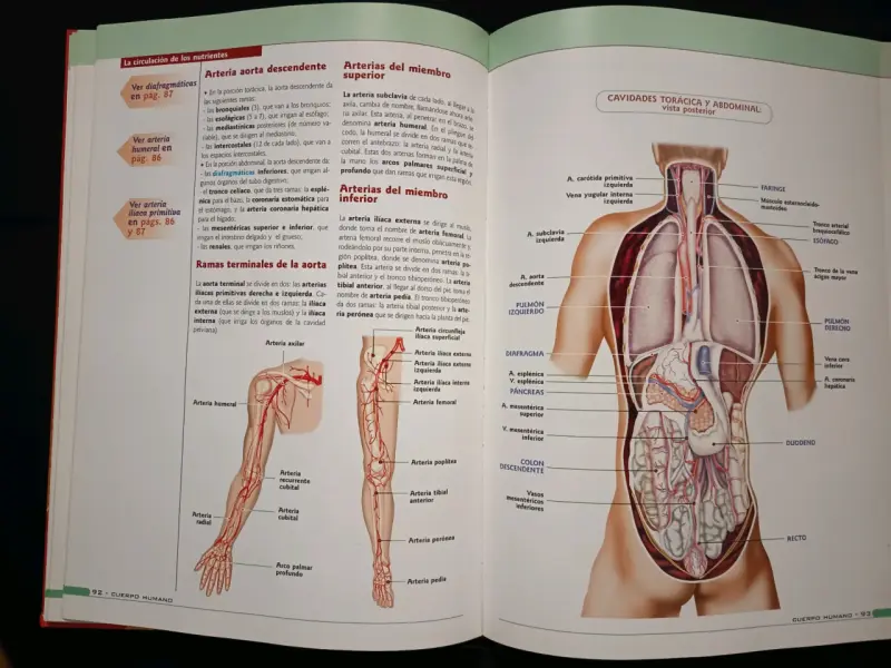 Atlas de anatomía del cuerpo humano - 3
