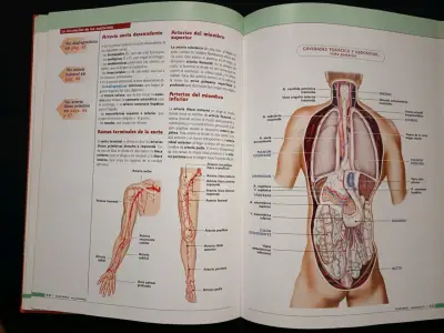 Atlas de anatomía del cuerpo humano - miniatura 3