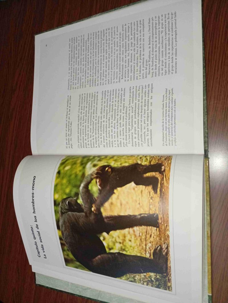 El eslabón perdidoLibro.  Orígenes del Hombre - 5