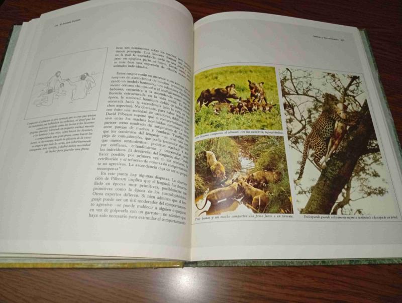 El eslabón perdidoLibro.  Orígenes del Hombre - 6